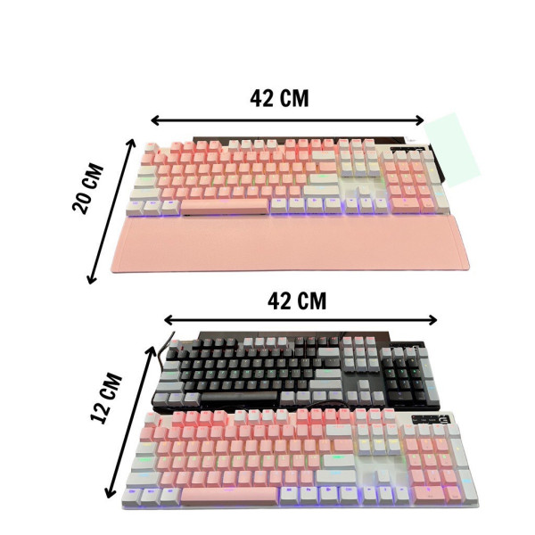 Bàn phím cơ kèm kê tay Spartan Full Size Blue Switch