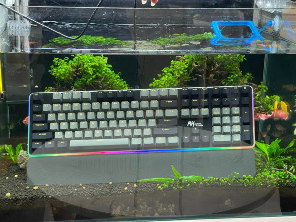 BÀN PHÍM CƠ ROYAL KLUDGE RK 919 BLACK - Chống nước - Bảo hành 12Thang