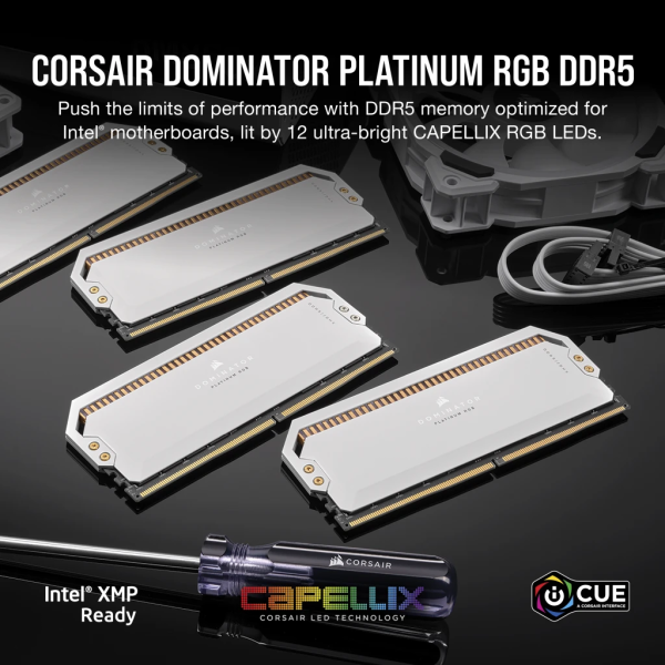 Ram Corsair Dominator Platinum RGB White 64GB(2x32GB) Bus 5600MHz DDR5 (CMT64GX5M2B5600C40W)