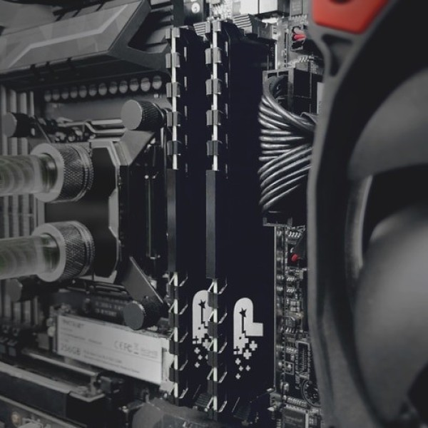 RAM Patriot Signature Premium 16GB (1x16GB) DDR5 5200MHz (PSP516G520081H1)