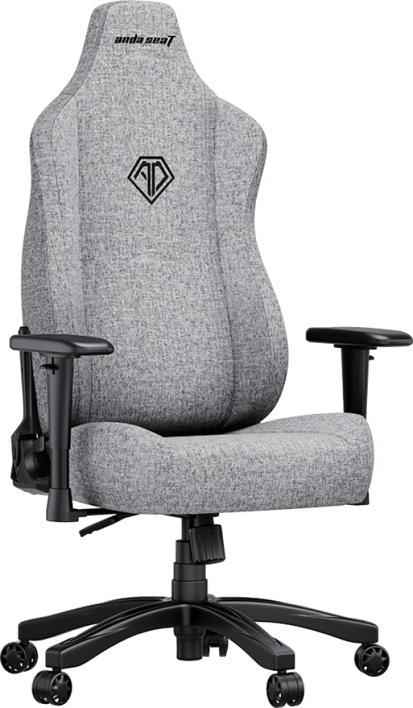 Ghế Gaming AndaSeat Novis Grey Fabric AD23-L-01-G-F