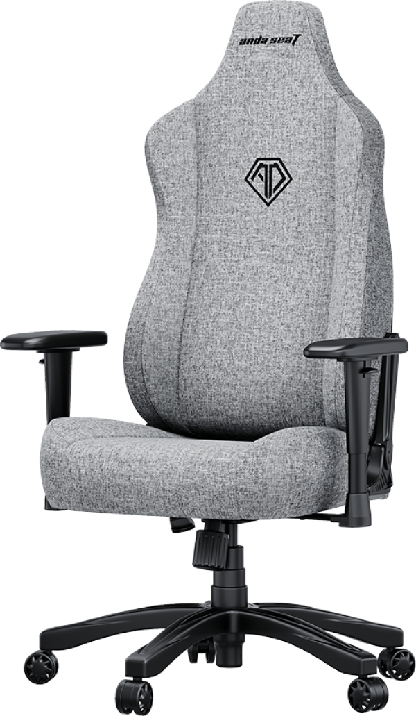 Ghế Gaming AndaSeat Novis Grey Fabric AD23-L-01-G-F